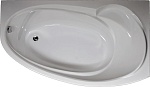 Акриловая ванна 1Marka Marka One Julianna 170x100 R Акриловая ванна 1Marka Marka One Julianna 170x100 R